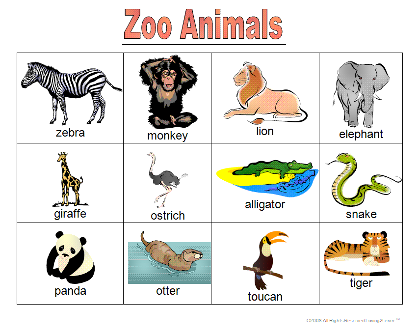 Немецкие слова животные. Животные на английском языке. Животные на английском для детей. Животные зоопарка на англ яз. Животные на англ для малышей.