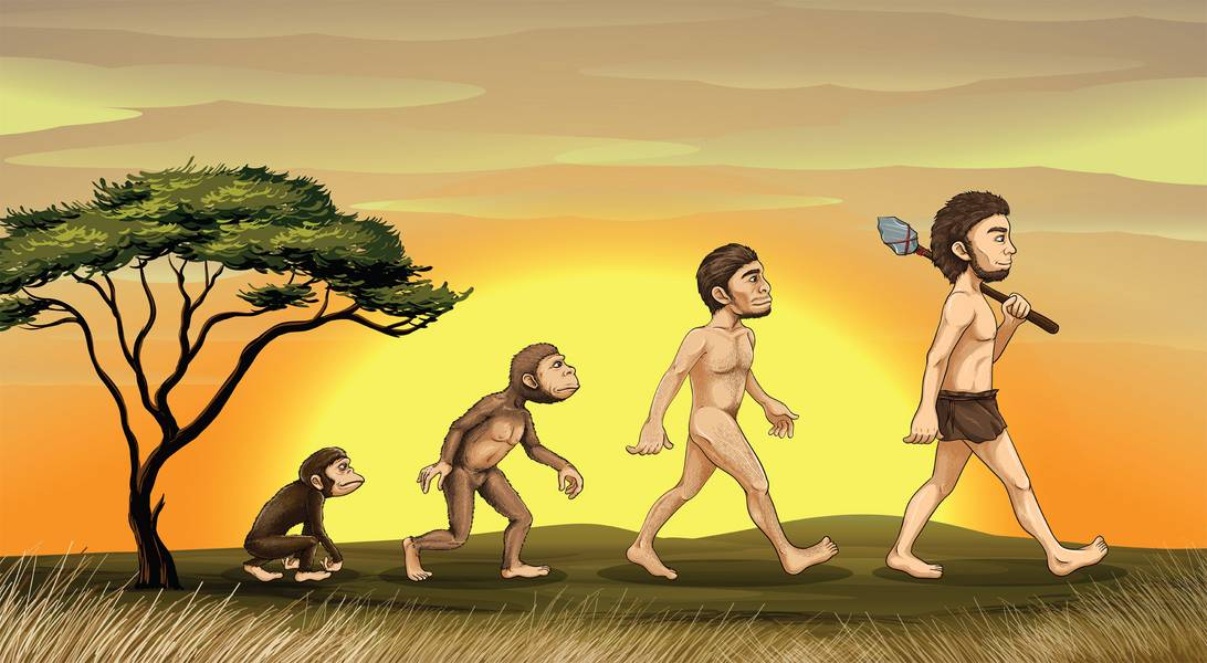 Men перевод на русский язык. разница между man, human, human being, person, people