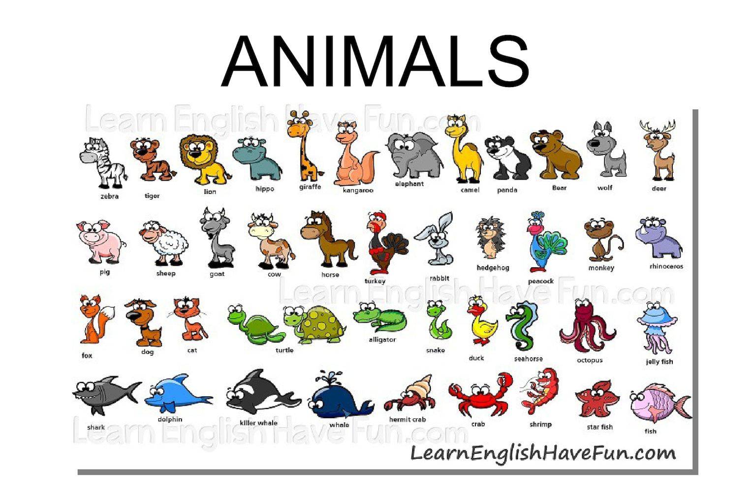 Животные на английском языке с переводом на русский