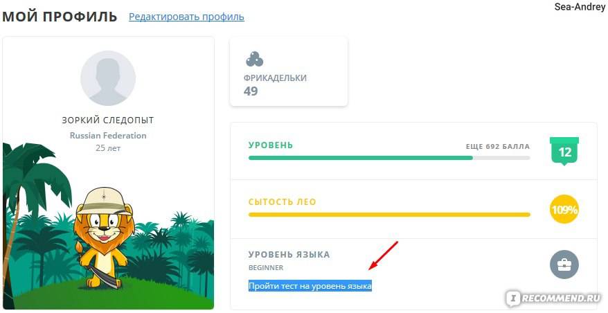 Обзор сервиса duolingo: регистрация, возможности, плюсы и минусы