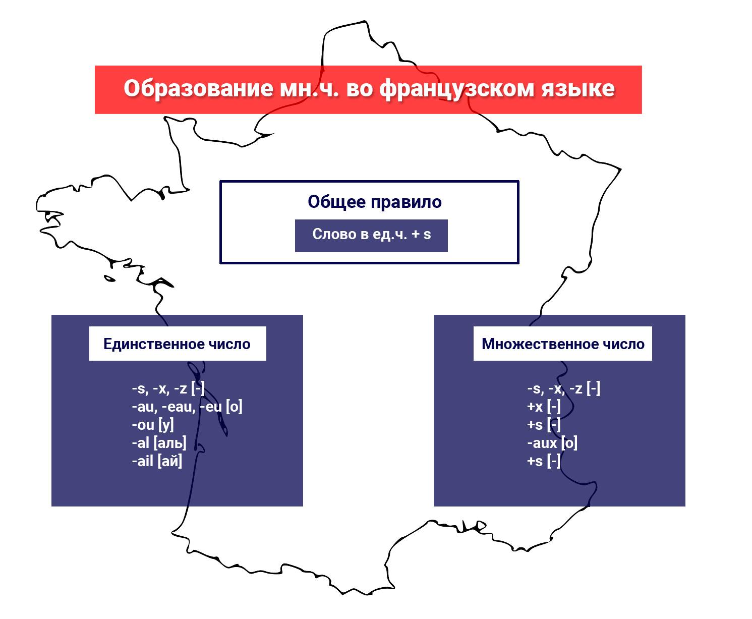 Множественное число во французском