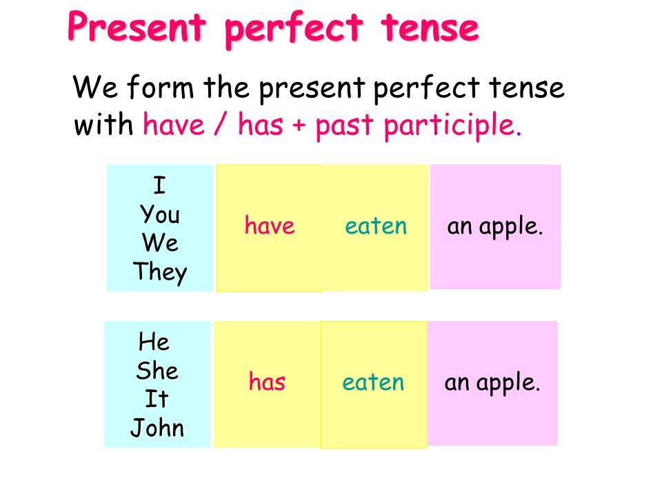 Present perfect exercises + pdf worksheets