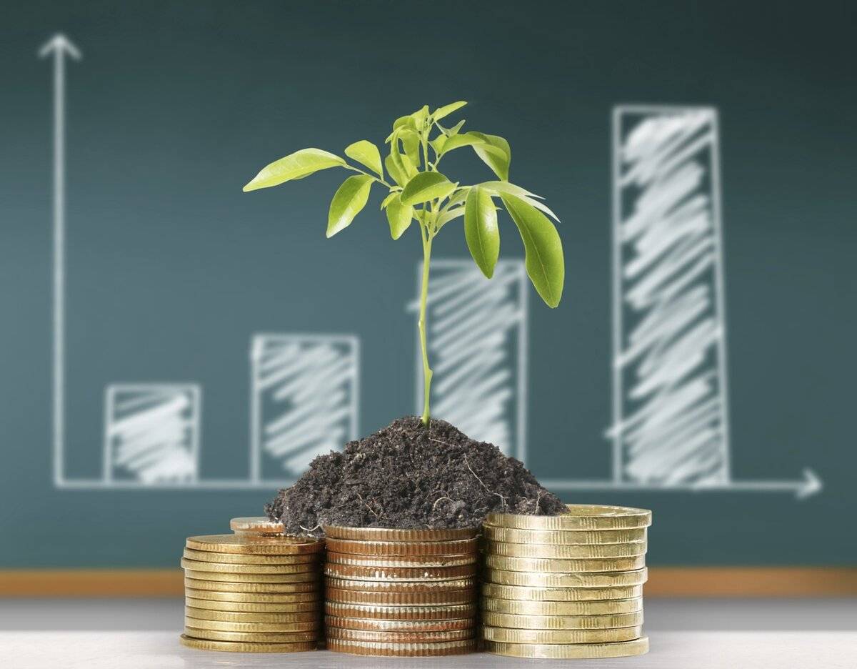 15 избранных статей об инвестициях для достойного финансового будущего