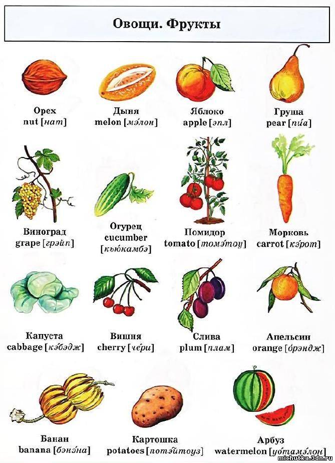 Овощи фрукты перевод
