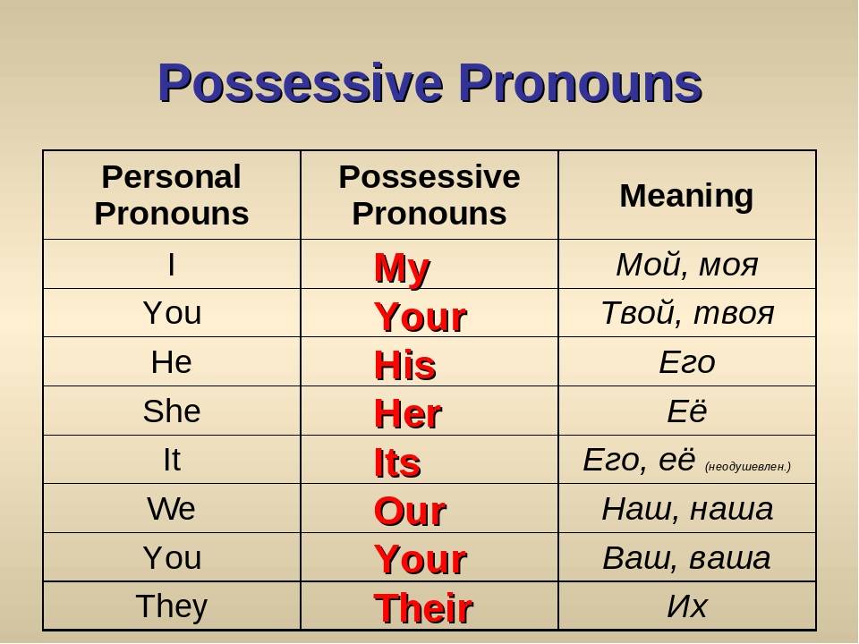 Possessive pronouns and 's Притяжательные местоимения и знак 's.