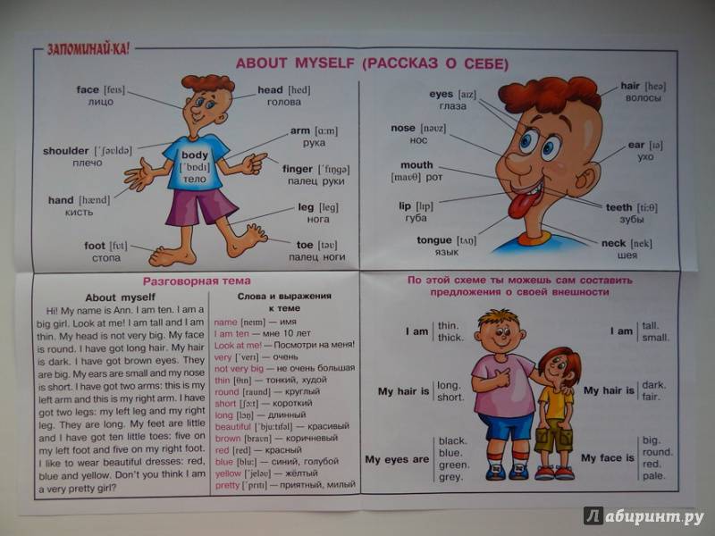 Картинки для описания внешности на английском для детей