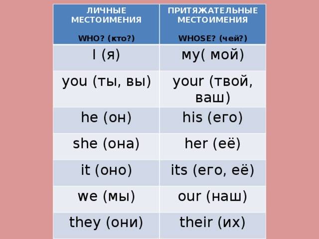 Притяжательные местоимения в английском - lingua-airlines.ru