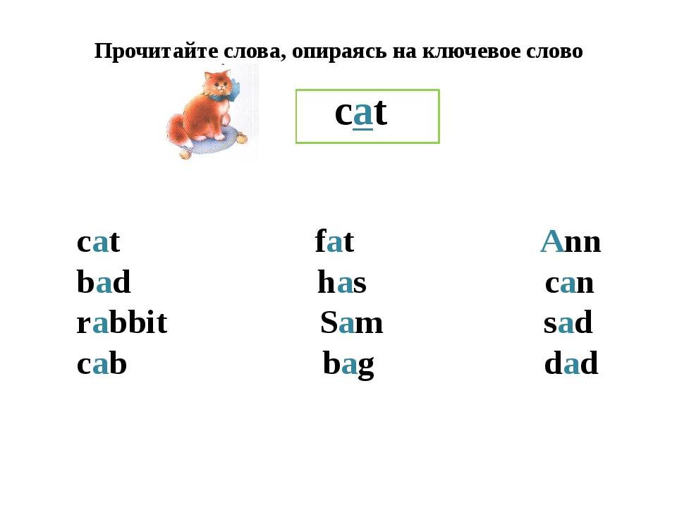 Разговорный английский по методу доктора пимслера: слушать уроки онлайн