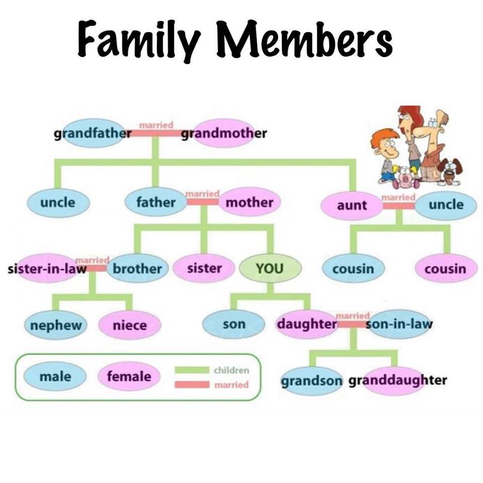 Uncles wife. Вокабуляр семья английский. Семья на английском языке. Тема семья на английском.