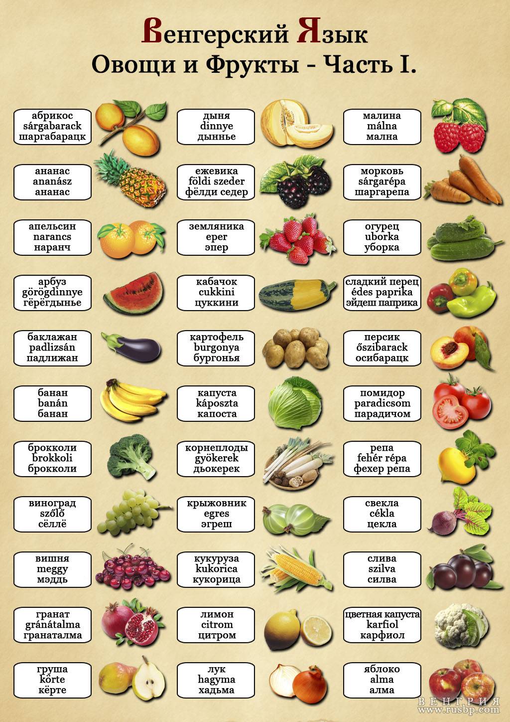 Овощи русско английский. Фрукты список. Овощи список. Овощи и фрукты список. Название овощей и фруктов по алфавиту.
