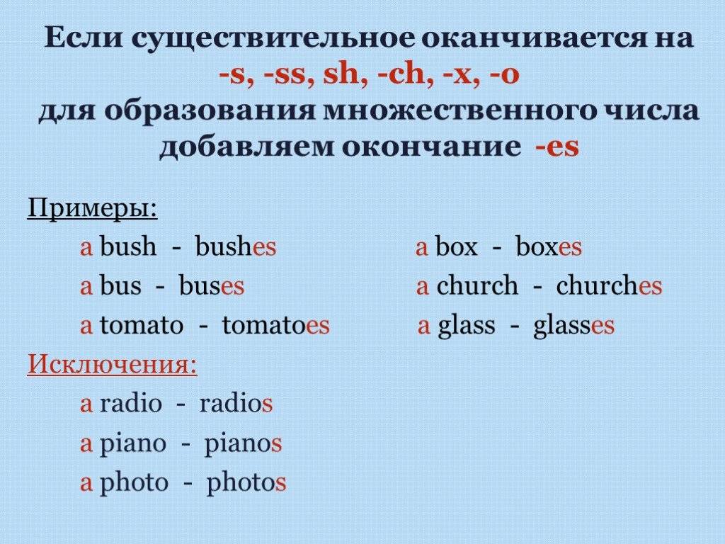 Формы существительных в английском языке