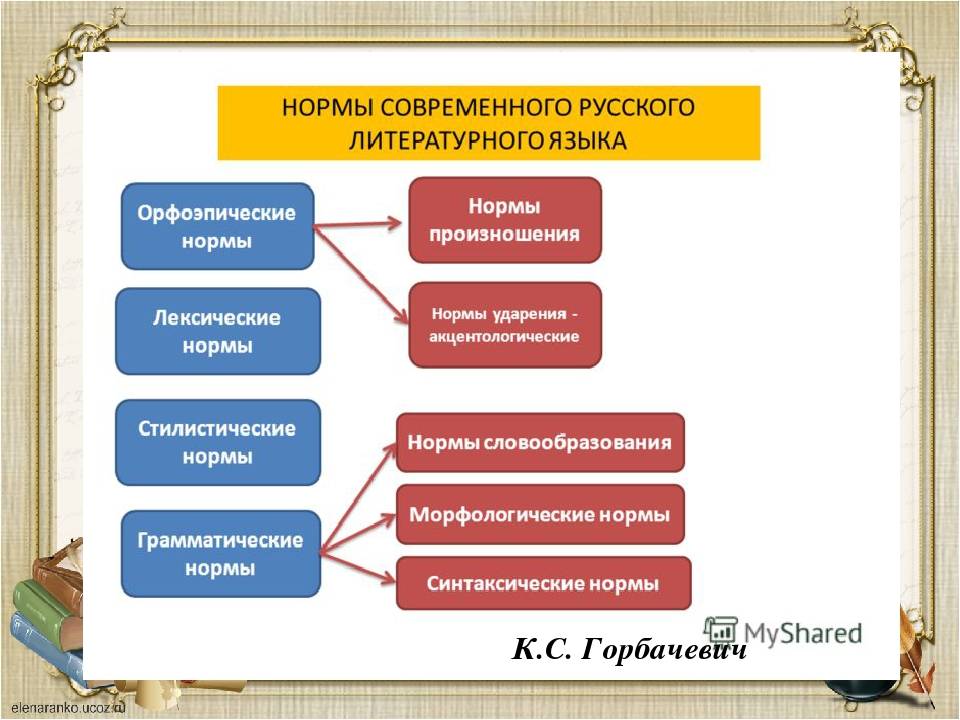 Типы литературного языка. Классификация норм современного русского языка. Нормы русского литературного языка. Нормы современного русского литературного языка. Нормы литературного яка.