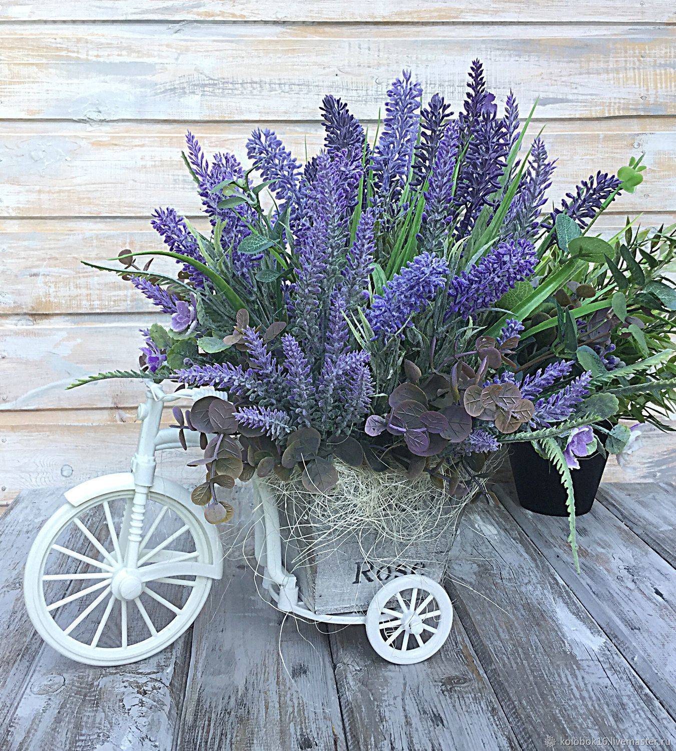 Названия цветов (flowers) в английском языке: садовые и комнатные